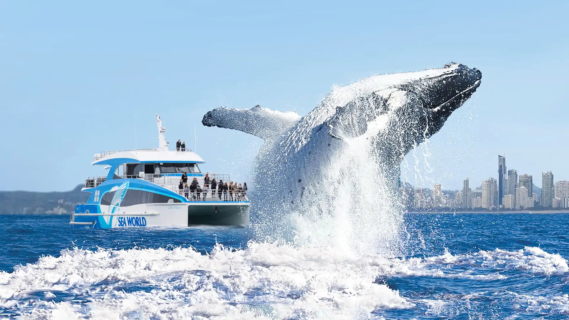 Hotels near Sea World Cruises