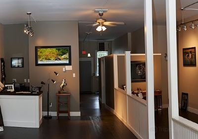 Launstein Imagery Wildlife Art Gallery