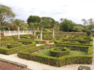 Bermuda Botanical Gardens