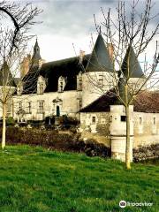 Chateau de Coussay