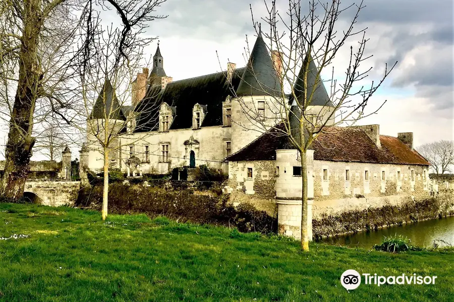 Chateau de Coussay