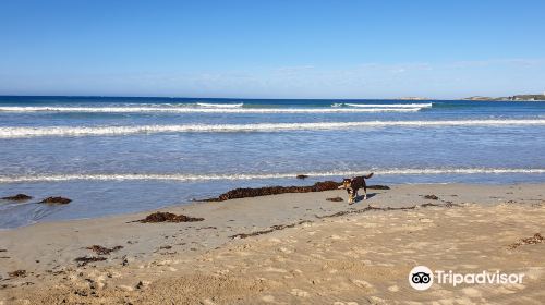 Surf Beach