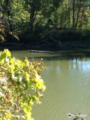 Ward Marsh Wildlife Management Area