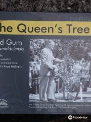 The Queen's Tree