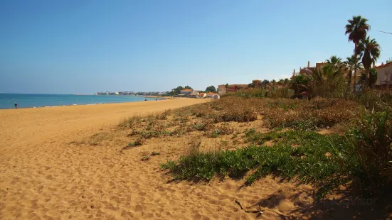 Playa Els Molins