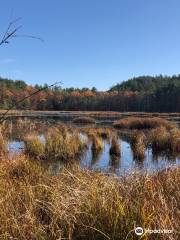 Quincy Bog Natural Area