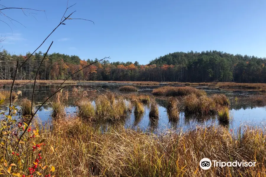 Quincy Bog Natural Area