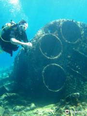 Pepe Dive Mahahual Dive Shop