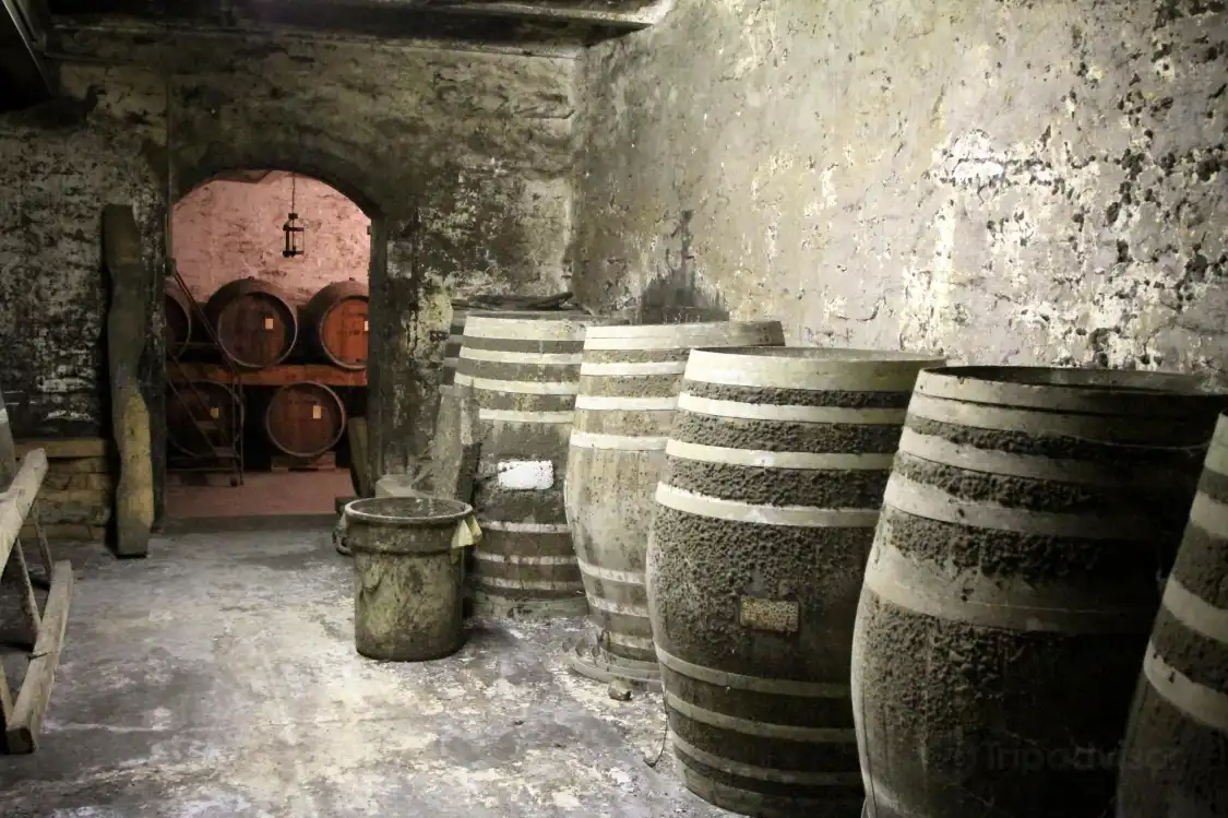 快樂谷酒莊附近的飯店