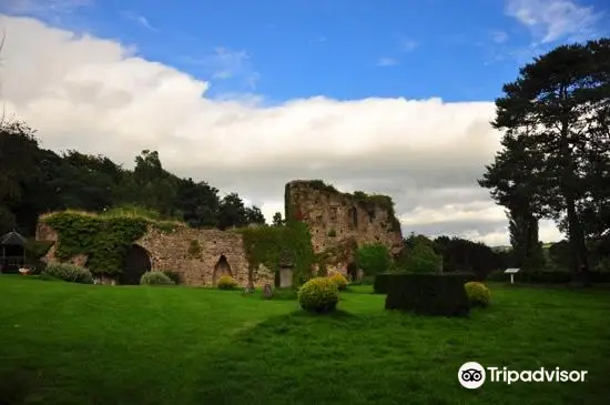 Usk Castle