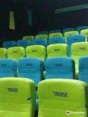 Triose Multiplex