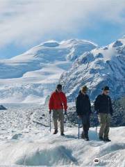 Southern Alps Guiding