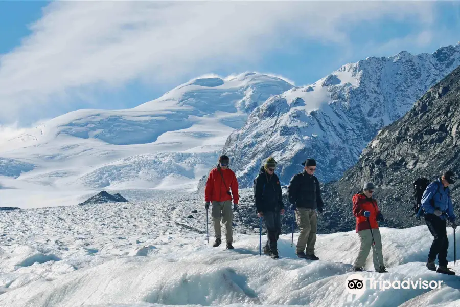 Southern Alps Guiding