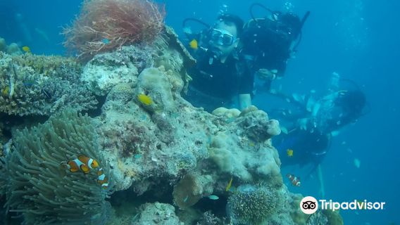 Havelock Island