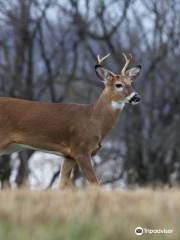 A.W. Campbell Conservation Area