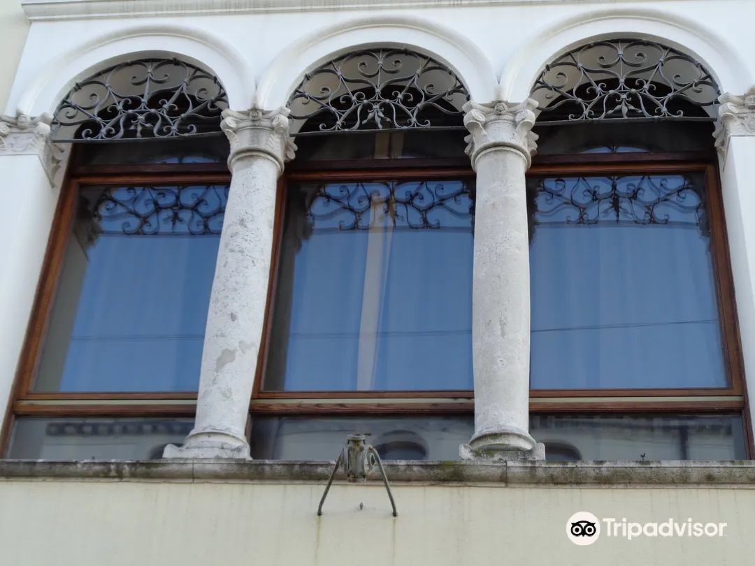 2_Silvia Zenari Civic Museum of Natural History