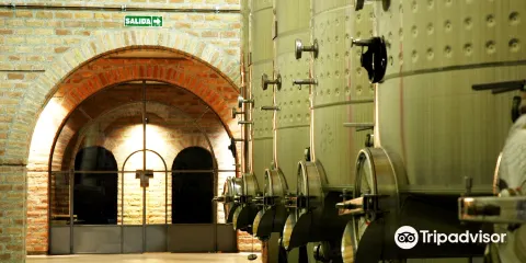 Bodega Merced del Estero