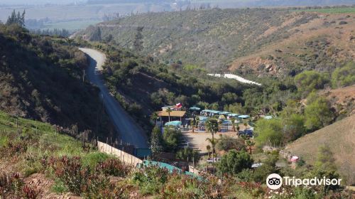 Fundo El Renacer de Monardez