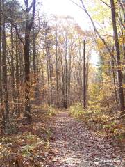 Pittsfield State Forest