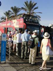 City Sightseeing Las Palmas de Gran Canaria