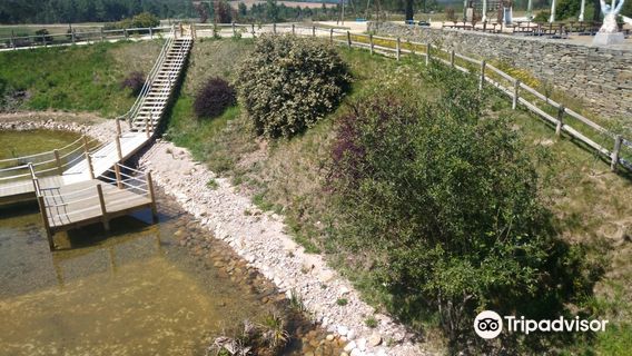 Centro Ciencia Viva Da Floresta
