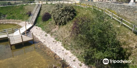 Centro Ciencia Viva Da Floresta