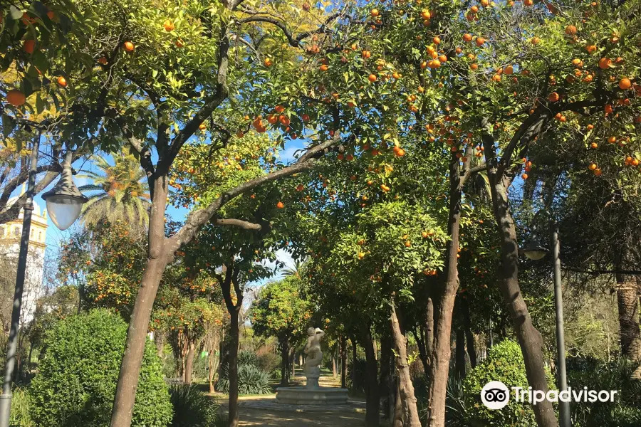 Paseo de Las Delicias