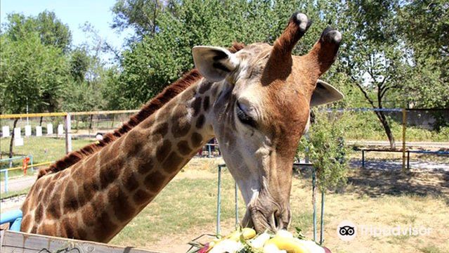 Shymkent Zoo