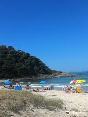Jureia Beach