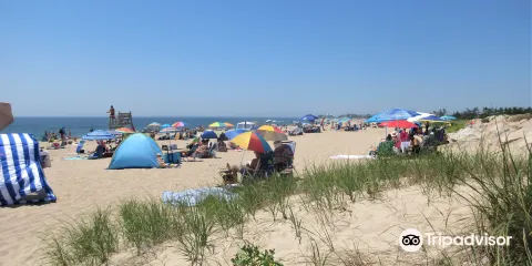 Blue Shutters Beach