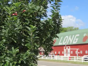 Long Family Orchard, Farm & Cider Mill