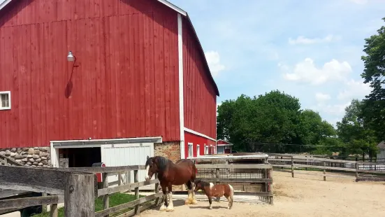 ランドール・オークス動物園