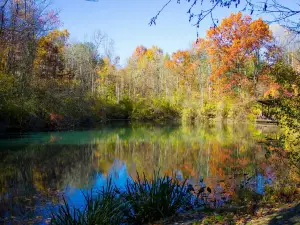 F.A. Seiberling Nature Realm