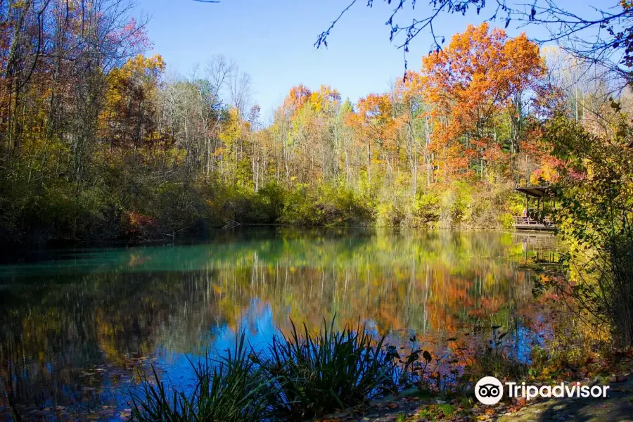 F.A. Seiberling Nature Realm