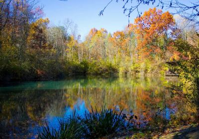 F.A. Seiberling Nature Realm