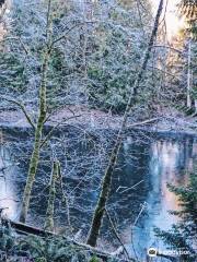 Stimpson Family Nature Reserve