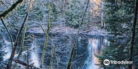 Stimpson Family Nature Reserve