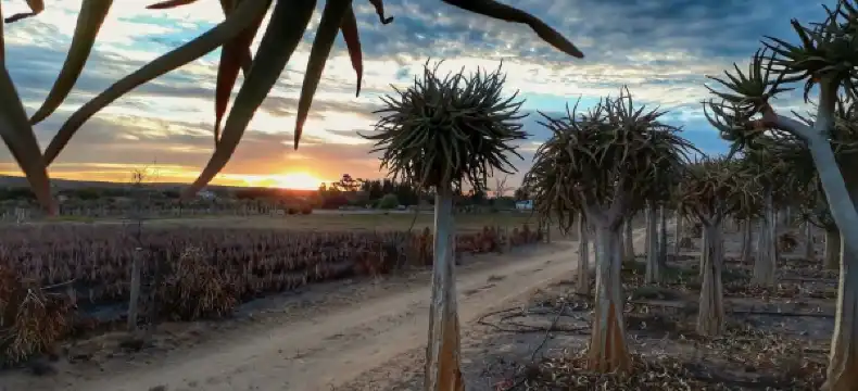 Hotels in Vanrhynsdorp