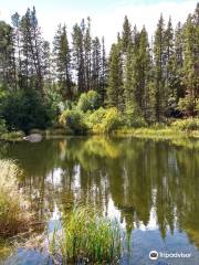 Leadville National Fish Hatchery - Hatchery Building