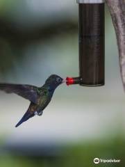 Vogelpark Avifauna