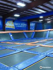 Sky Zone Trampoline Park