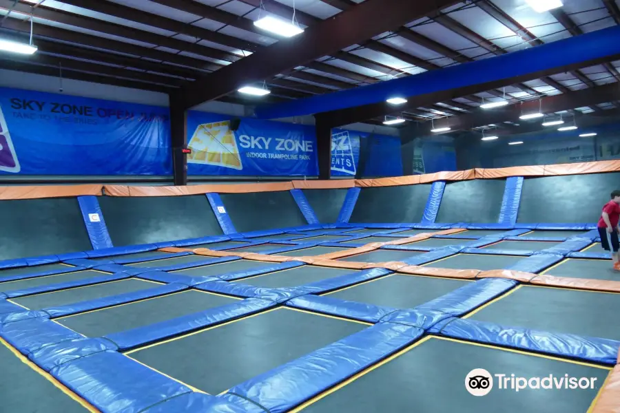 Sky Zone Trampoline Park