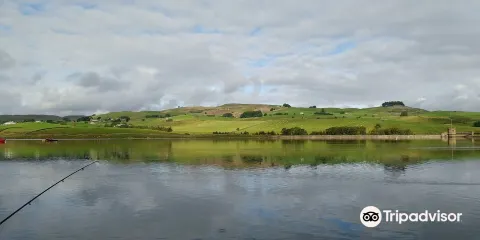 Grassholme Reservoir