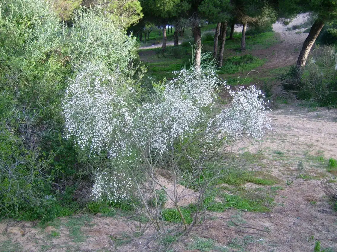 Hotels near Pinar de la Dinamita