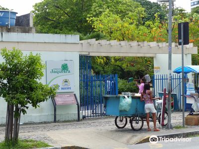 Jaqueira Park