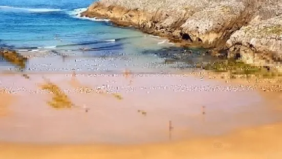 Playa de Somocuevas
