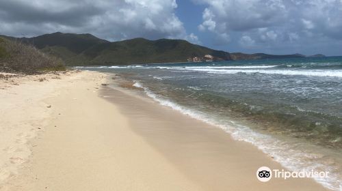 Beach at Genti Bay