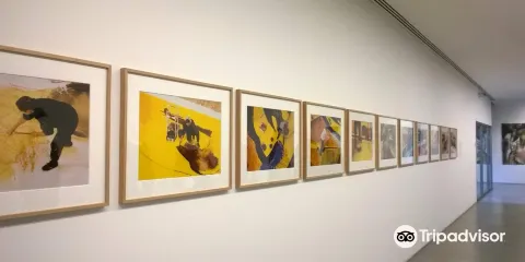 Centro de Arte Contemporanea Graca Morais