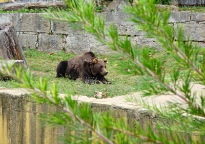 Zoologico de Vigo