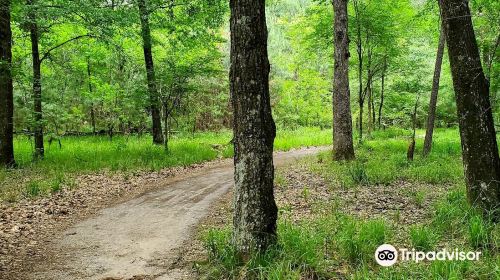 George Mitchell Nature Preserve